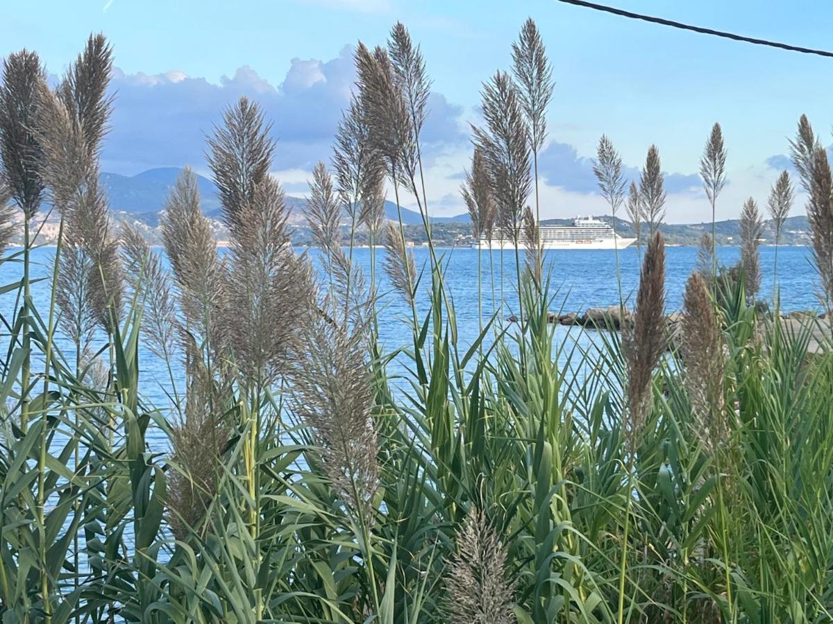 Apollonides Seafront Villa1 Aoede Lixouri Dış mekan fotoğraf