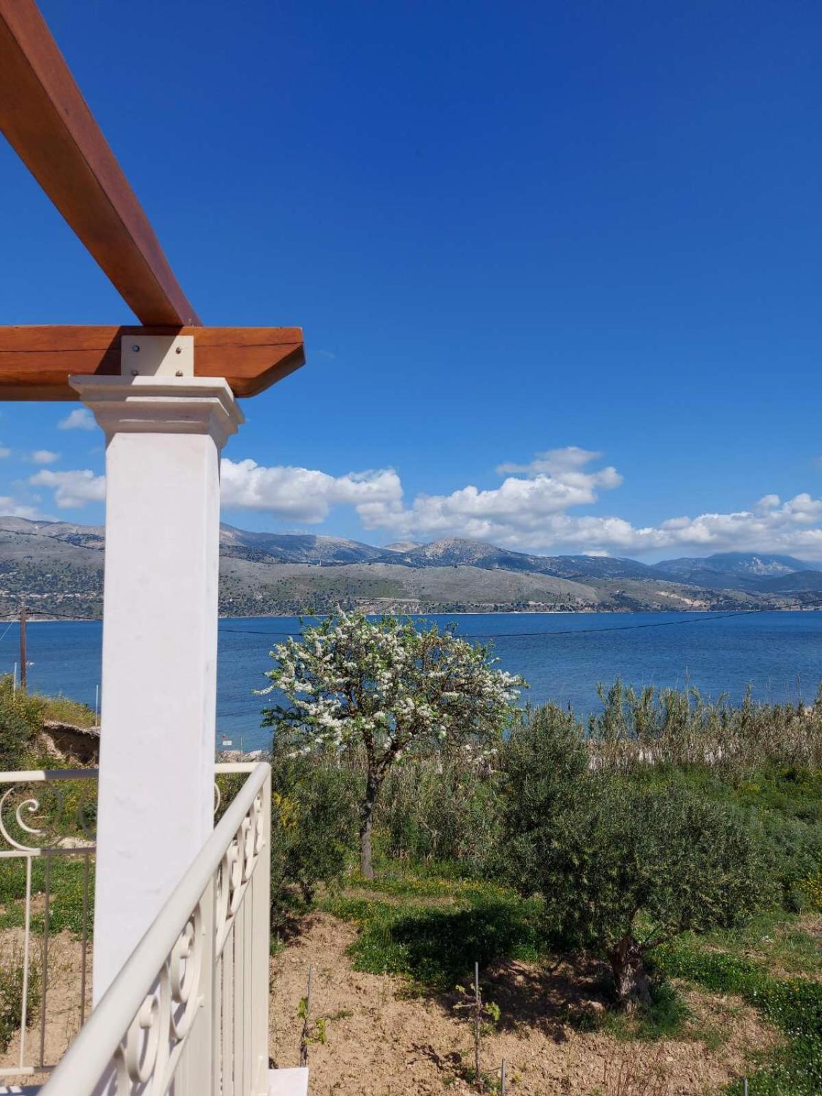 Apollonides Seafront Villa1 Aoede Lixouri Dış mekan fotoğraf