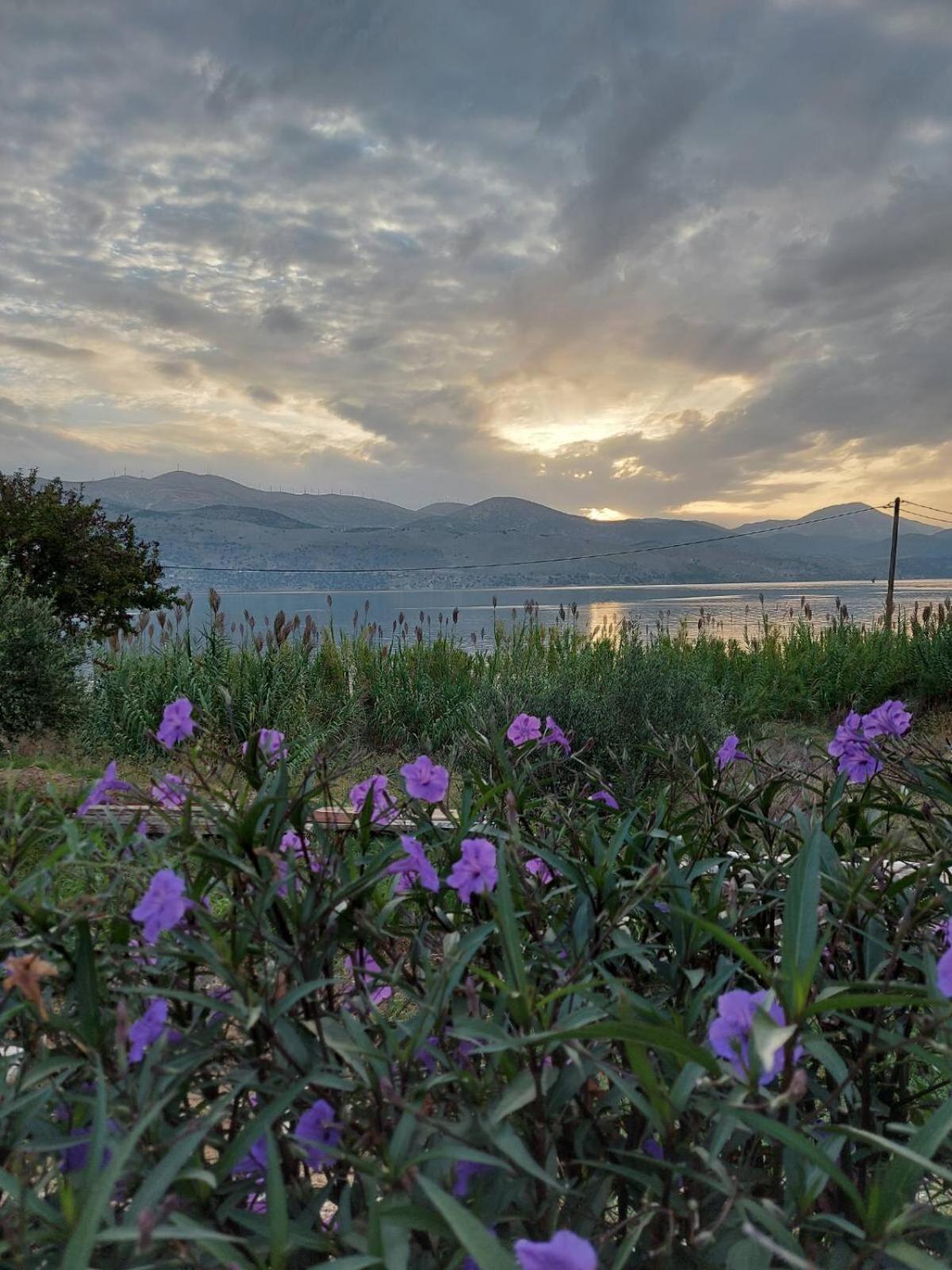 Apollonides Seafront Villa1 Aoede Lixouri Dış mekan fotoğraf