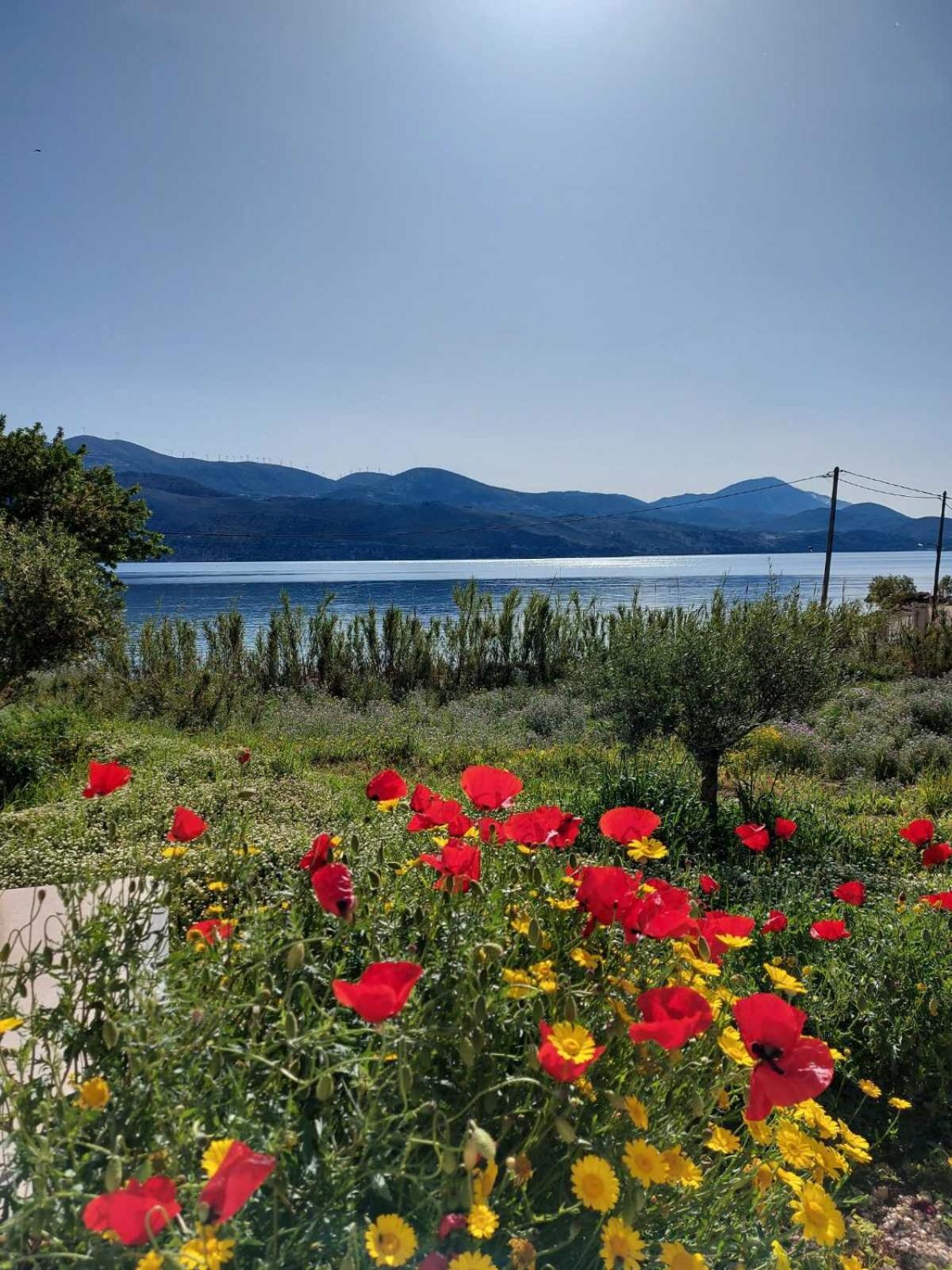 Apollonides Seafront Villa1 Aoede Lixouri Dış mekan fotoğraf
